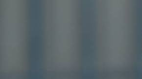 José Joel y Marysol Sosa