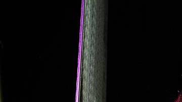 Luz Elena González.