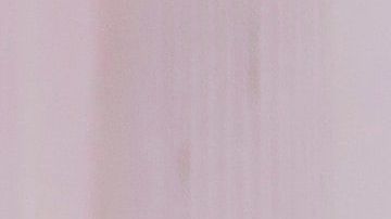 El año pasado dijo que no más, pero...