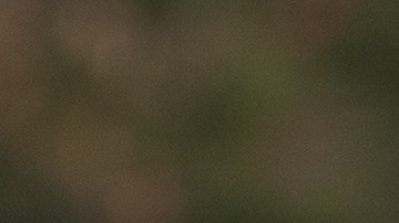 El mexicano anunció en redes sociales el nacimiento de su hija.