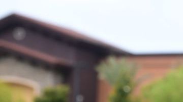 Son 3 tipos de carnes congeladas las contaminadas con salmonella.