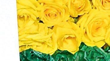 Thalía y Tommy Mottola