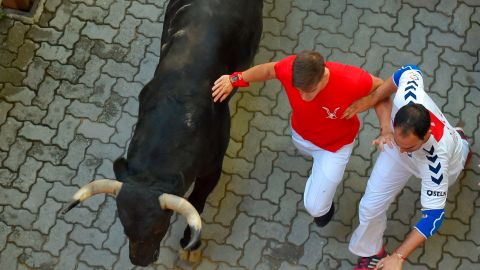 El toro escapó de un matadero cercano en San Pedro de Jujuy.