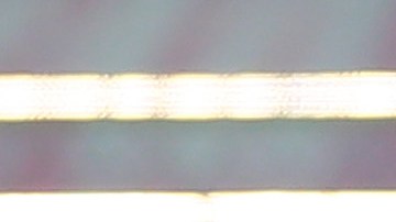 El Tricolor se prepara de cara a la Nations League de CONCACAF.