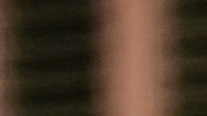 Los 'Pats' tendrán que derrotar a Nueva York en el cierre de la Semana 7.