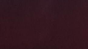 Terminó el sueño del Philadelphia Union de Marco Fabián.