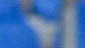 El mexicano fue convocado para la jornada de Champions que continúa este miércoles.