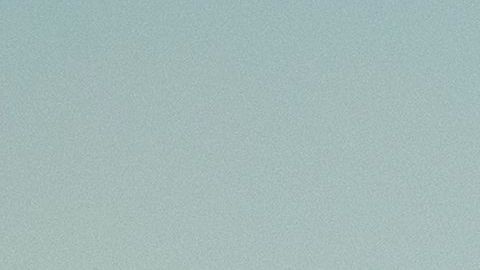 Decenas de camiones de bomberos acudieron a la zona del siniestro a ayudar.