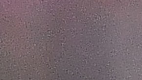 "La Pulga" eligió a un futbolista brasileño