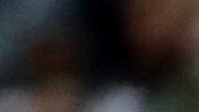 Nueva Inglaterra y San Francisco no han perdido en la campaña.