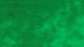 El peleador de MMA mexicano, Caín Velásquez tuvo un humillante debut al ser rendido por Brock Lesnar.