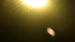 El púgil de 27 años peleó el sábado pasado ante Charles Conwell.