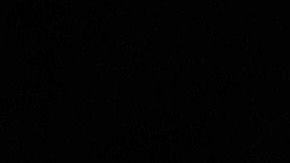 Joe Biden no es visto como el favorito imbatible.