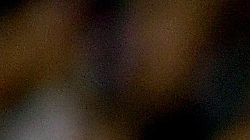 Los New England Patriots pasaron por aplastaron 0-33 a los New York Jets.