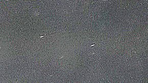 Los Foxes aplastaron 9-0 al Southampton.