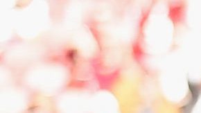 49ers y Cardinals arrancan la Semana 9 de la NFL.