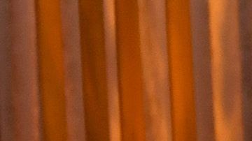 De izq. a dcha.: Geena Davis, Lina Wertmüller, David Lynch y Wes Studi.