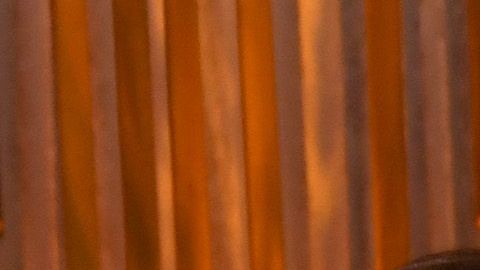 De izq. a dcha.: Geena Davis, Lina Wertmüller, David Lynch y Wes Studi.