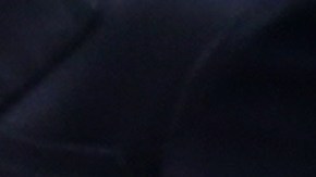 Los invitados no pudieron acceder con sus celulares al evento.