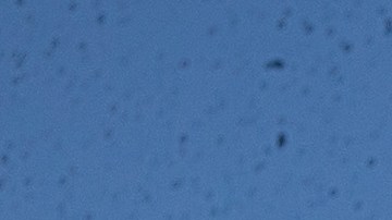 La banda de la Universidad de Ohio brindó un show en homenaje a la caricatura.