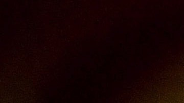 La pareja real siempre se distingue por su complicidad y apoyo mutuo.