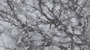 Illinois será una de las entidades más afectadas.