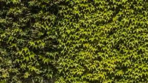 Maserati Gran Turismo