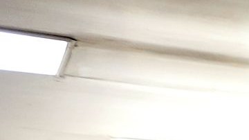 La demanda de alimentos  en Los Ángeles se ha ido por los cielos a partir de la pandemia. /fotos: archivo.