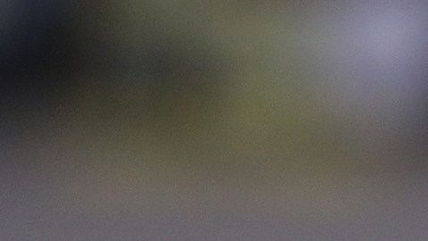 Henry Martin es uno de los objetivos de la nueva administración en Chivas.