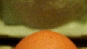 El costo no tiene que ver con los nutrientes que tiene cada tipo de huevo.