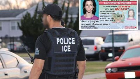 En algunos estados, DMV colabora con ICE para deportar indocumentados.