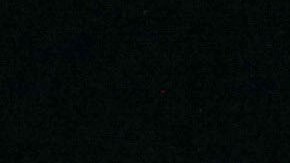 La Parka sufrió grave accidente en plena función.