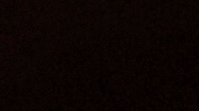 La Parka se encuentra estable, pero se desconoce si podrá volver al cuadrilátero.