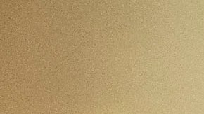 El LAFC no dejará ir a Carlos Vela en los próximos meses.