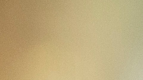 El LAFC no dejará ir a Carlos Vela en los próximos meses.