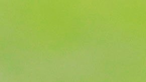 Ricardo Peláez interesa demasiado en Chivas.