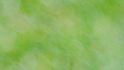 El exfutbolista se reunió con Amaury Vergara.