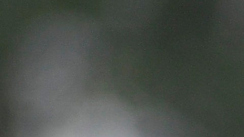 Nico Castillo se siente listo para regresar a las canchas.