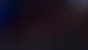 Esta semana no hubo que pensarle mucho y el Tronco de la Semana será un reconocimiento colectivo para todos los jugadores del América.