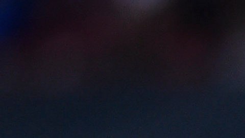 Esta semana no hubo que pensarle mucho y el Tronco de la Semana será un reconocimiento colectivo para todos los jugadores del América.