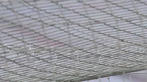 "Paco Memo" pasa por un mal momento en su carrera.