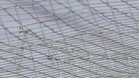 Cruz Azul nunca le había marcado cinco goles a América.