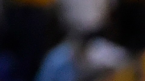 Los felinos tenían partidos programados en la fecha FIFA.