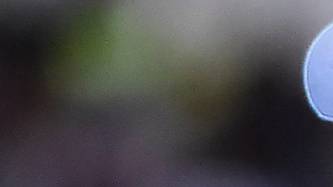 cha La jornada 15 del Apertura 2019 continúa este sábado.