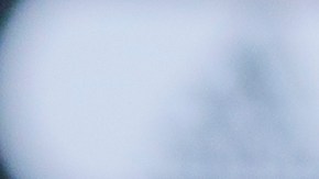 El técnico argentino ni siquiera fue entrevistado por directivos de US Soccer.