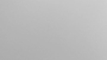 Jugadores de los 'Tiburones' planean no jugar y esperan apoyo de sus colegas.