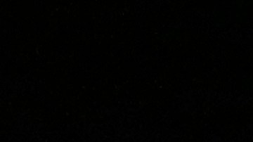 André-Pierre Gignac anotó el segundo gol para Tigres