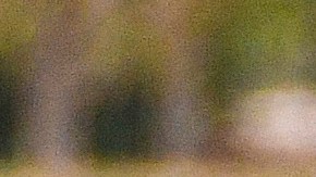 El Tri espera sumar su primera victoria cuando enfrente a Paraguay.