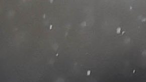 Pumas y Atlas van por triunfos que los acerquen a los primeros 8.