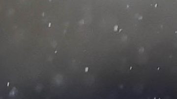 Pumas y Atlas van por triunfos que los acerquen a los primeros 8.